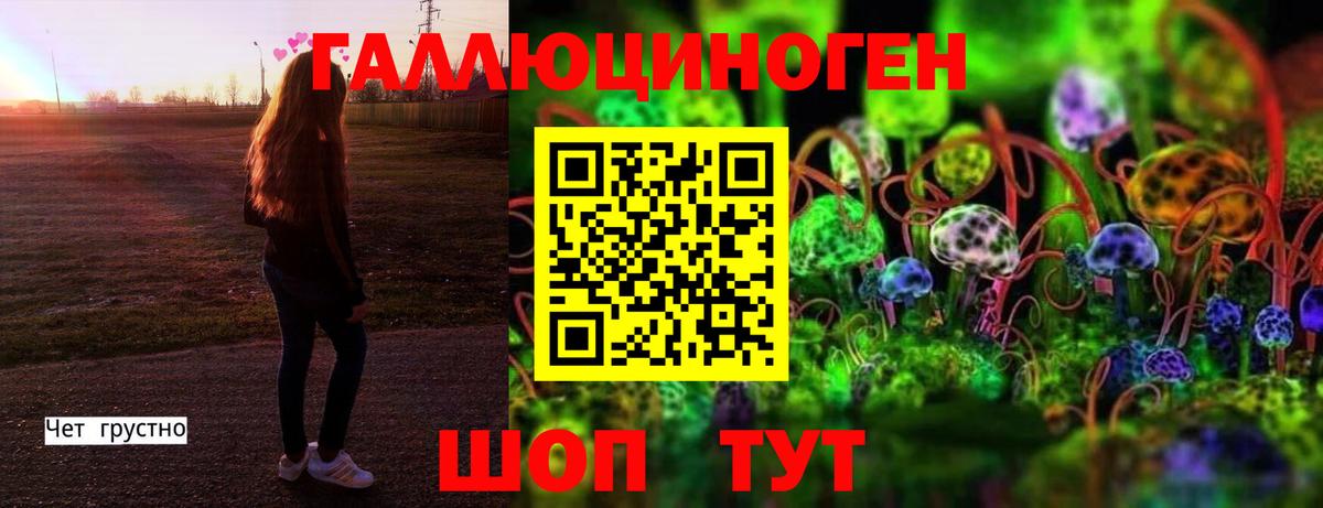 Лесосибирск  Псилоцибиновые грибы GOLDEN TEACHER  Вход с VPN  Галлюциногенные грибы MAGIC MUSHROOMS 