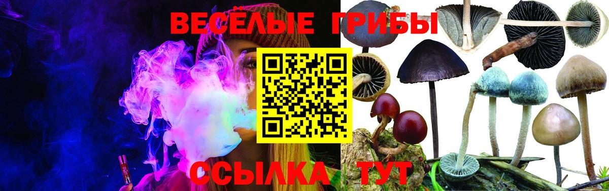 Галлюциногенные грибы GOLDEN TEACHER Лесосибирск